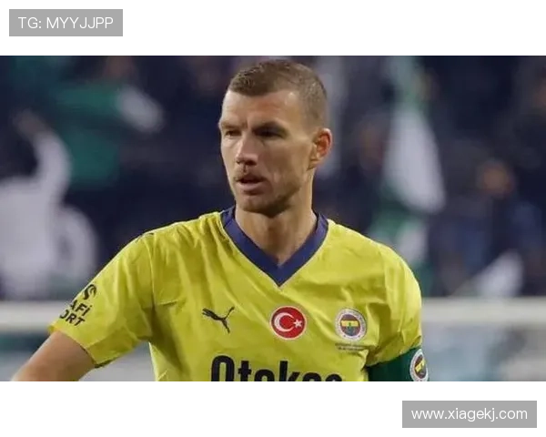 费内巴切球员扬达什因涉嫌赌球出庭